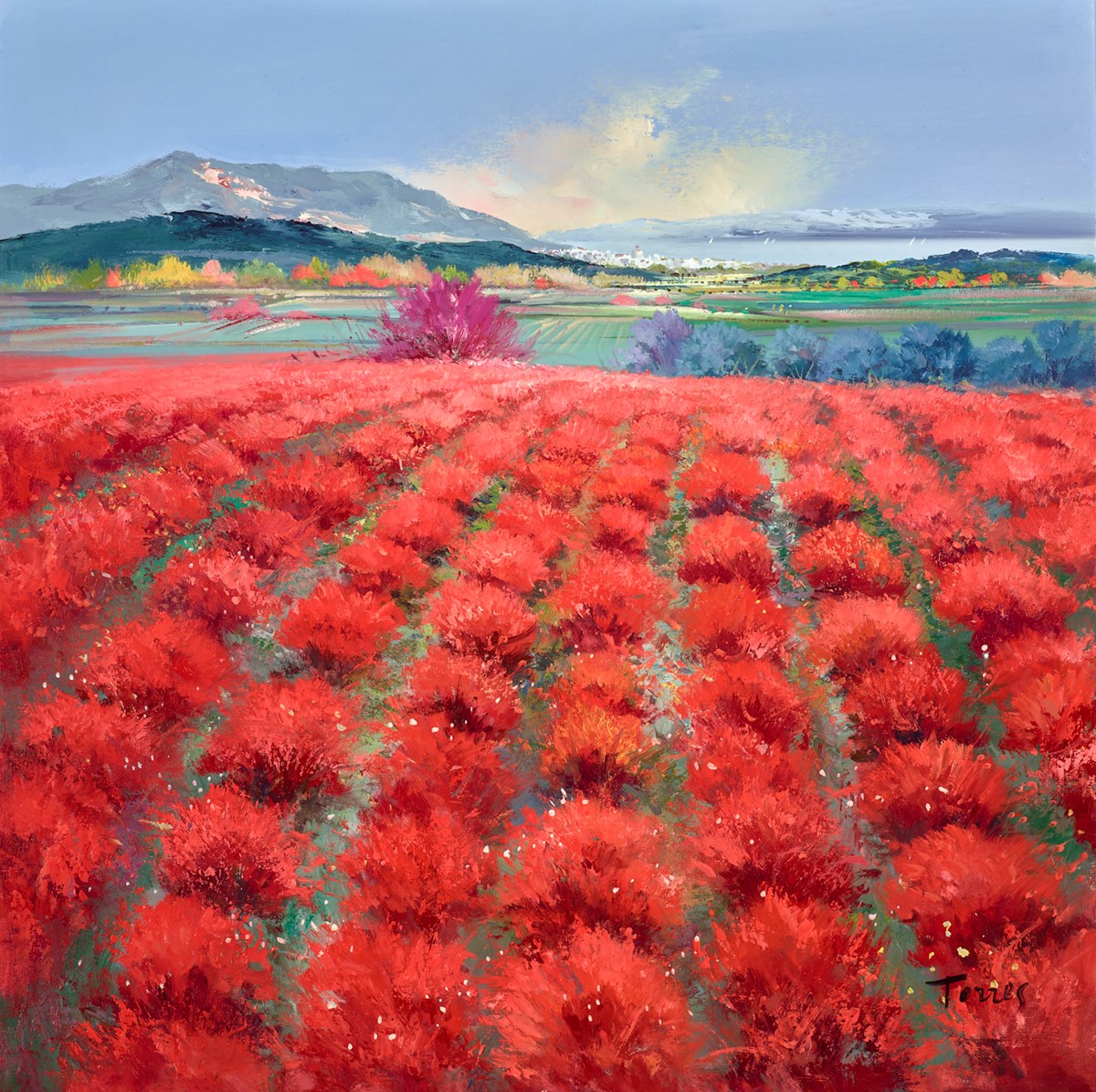 Fields of Red