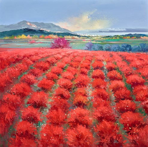 Fields of Red by Torres - Original Painting on Box Canvas